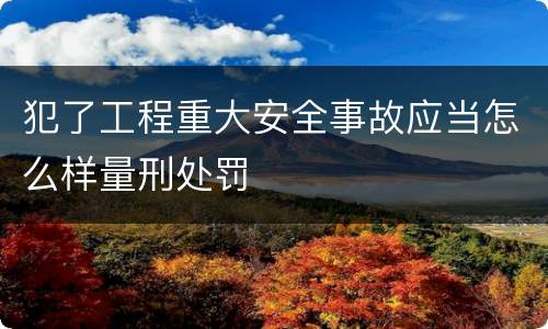犯了工程重大安全事故应当怎么样量刑处罚