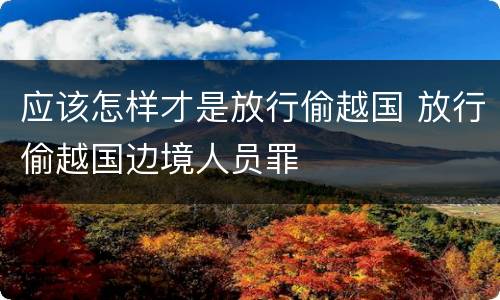 应该怎样才是放行偷越国 放行偷越国边境人员罪