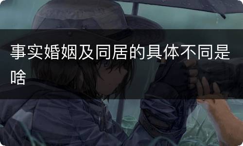 事实婚姻及同居的具体不同是啥