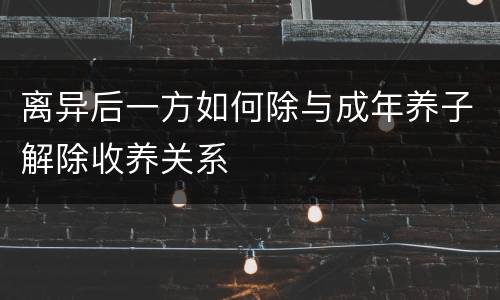 离异后一方如何除与成年养子解除收养关系