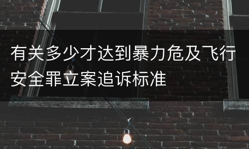 有关多少才达到暴力危及飞行安全罪立案追诉标准