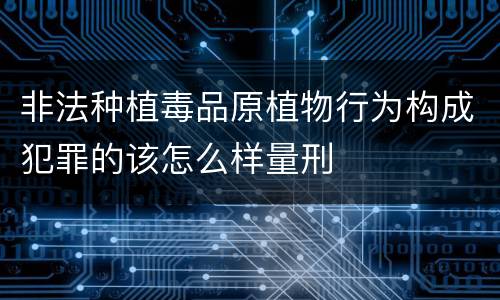 非法种植毒品原植物行为构成犯罪的该怎么样量刑