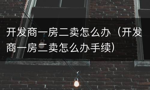 开发商一房二卖怎么办（开发商一房二卖怎么办手续）