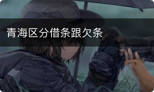 青海区分借条跟欠条