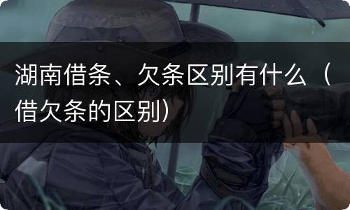 湖南借条、欠条区别有什么（借欠条的区别）