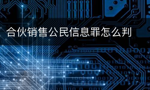 合伙销售公民信息罪怎么判