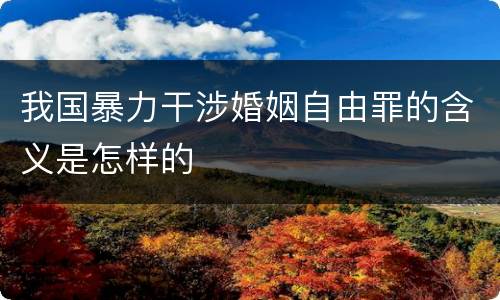 我国暴力干涉婚姻自由罪的含义是怎样的