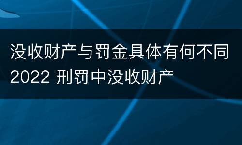 没收财产与罚金具体有何不同2022 刑罚中没收财产