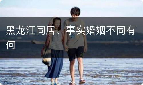 黑龙江同居、事实婚姻不同有何