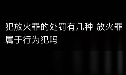 犯放火罪的处罚有几种 放火罪属于行为犯吗