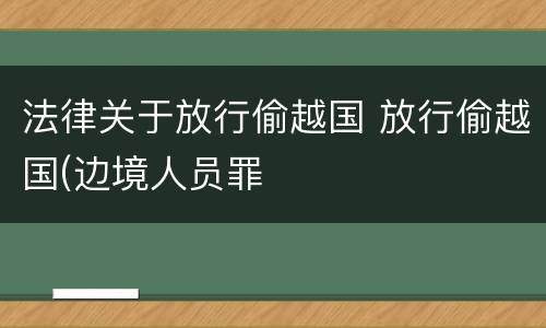 法律关于放行偷越国 放行偷越国(边境人员罪