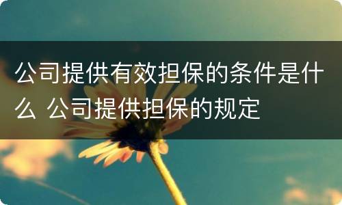 公司提供有效担保的条件是什么 公司提供担保的规定