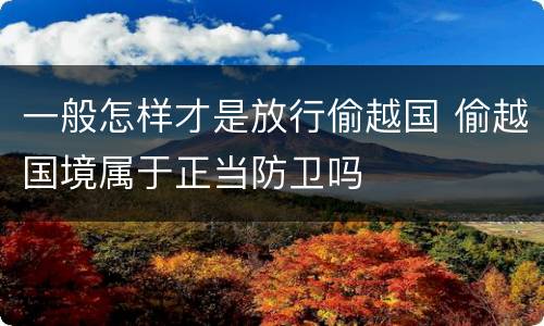 一般怎样才是放行偷越国 偷越国境属于正当防卫吗