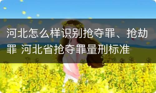 河北怎么样识别抢夺罪、抢劫罪 河北省抢夺罪量刑标准