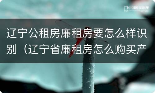 辽宁公租房廉租房要怎么样识别（辽宁省廉租房怎么购买产权）