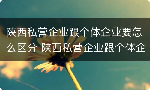 陕西私营企业跟个体企业要怎么区分 陕西私营企业跟个体企业要怎么区分呢