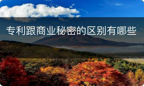 专利跟商业秘密的区别有哪些