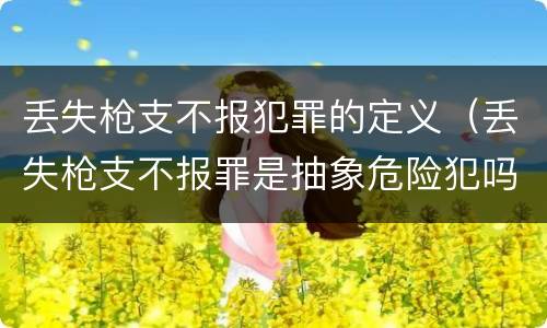 丢失枪支不报犯罪的定义（丢失枪支不报罪是抽象危险犯吗）