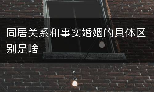 同居关系和事实婚姻的具体区别是啥