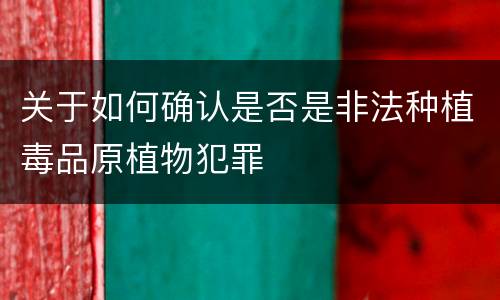 关于如何确认是否是非法种植毒品原植物犯罪