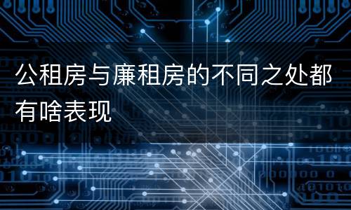 公租房与廉租房的不同之处都有啥表现