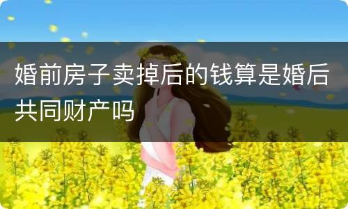 婚前房子卖掉后的钱算是婚后共同财产吗