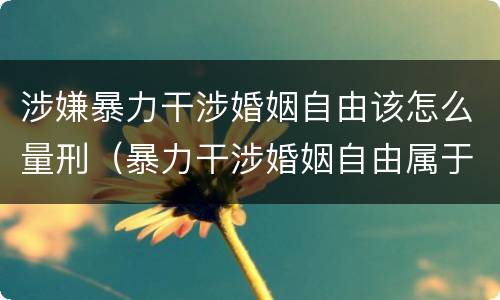 涉嫌暴力干涉婚姻自由该怎么量刑（暴力干涉婚姻自由属于犯罪吗）