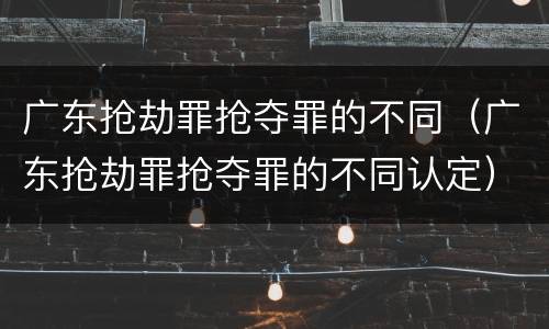 广东抢劫罪抢夺罪的不同(广东抢劫罪抢夺罪的不同认定)