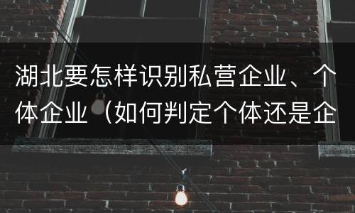 湖北要怎样识别私营企业、个体企业（如何判定个体还是企业）