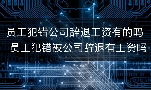 员工犯错公司辞退工资有的吗 员工犯错被公司辞退有工资吗
