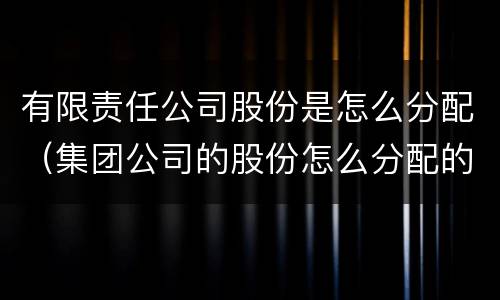 有限责任公司股份是怎么分配（集团公司的股份怎么分配的）
