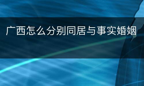 广西怎么分别同居与事实婚姻