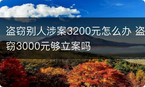 盗窃别人涉案3200元怎么办 盗窃3000元够立案吗