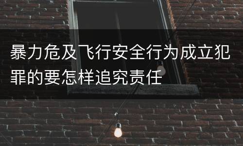 暴力危及飞行安全行为成立犯罪的要怎样追究责任
