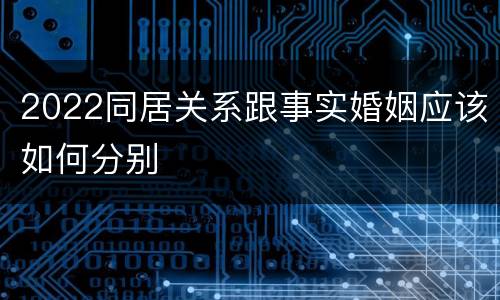2022同居关系跟事实婚姻应该如何分别
