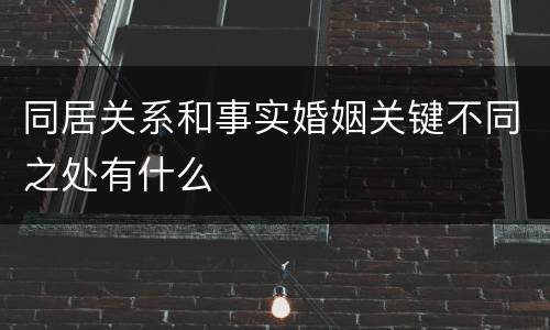 同居关系和事实婚姻关键不同之处有什么