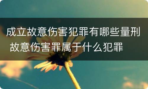 成立故意伤害犯罪有哪些量刑 故意伤害罪属于什么犯罪