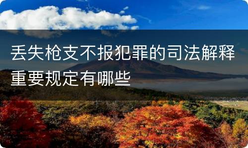 丢失枪支不报犯罪的司法解释重要规定有哪些