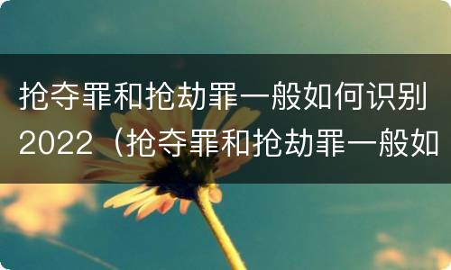 抢夺罪和抢劫罪一般如何识别2022（抢夺罪和抢劫罪一般如何识别2022年案件）