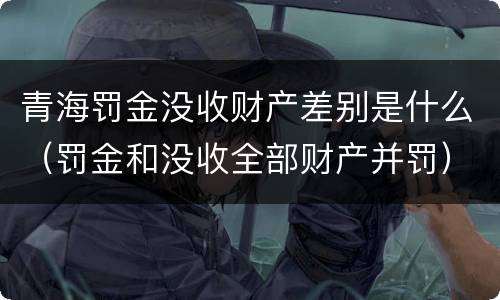 青海罚金没收财产差别是什么（罚金和没收全部财产并罚）