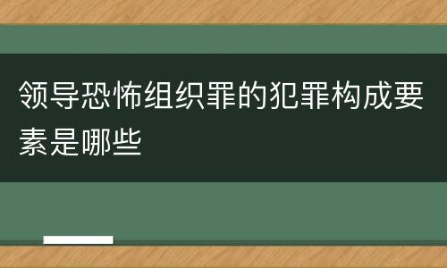 领导恐怖组织罪的犯罪构成要素是哪些