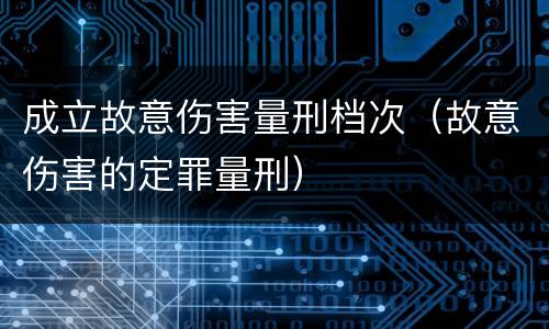 成立故意伤害量刑档次（故意伤害的定罪量刑）