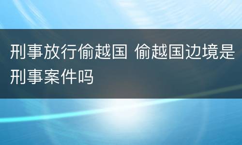 刑事放行偷越国 偷越国边境是刑事案件吗
