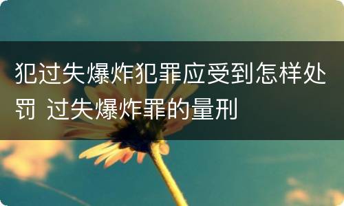 犯过失爆炸犯罪应受到怎样处罚 过失爆炸罪的量刑