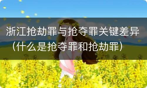 浙江抢劫罪与抢夺罪关键差异（什么是抢夺罪和抢劫罪）