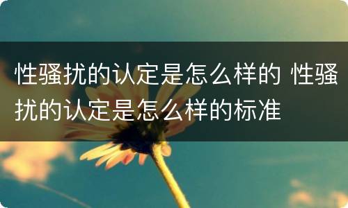 性骚扰的认定是怎么样的 性骚扰的认定是怎么样的标准