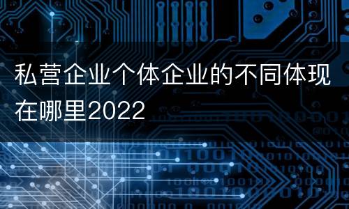 私营企业个体企业的不同体现在哪里2022