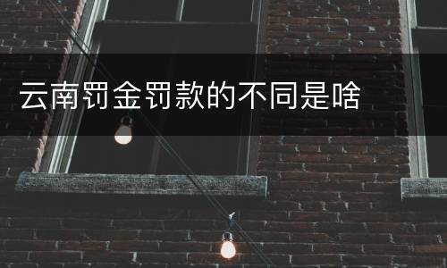 云南罚金罚款的不同是啥