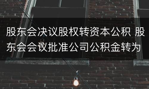 股东会决议股权转资本公积 股东会会议批准公司公积金转为资本