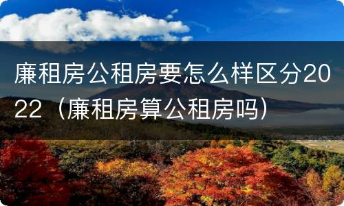 廉租房公租房要怎么样区分2022（廉租房算公租房吗）